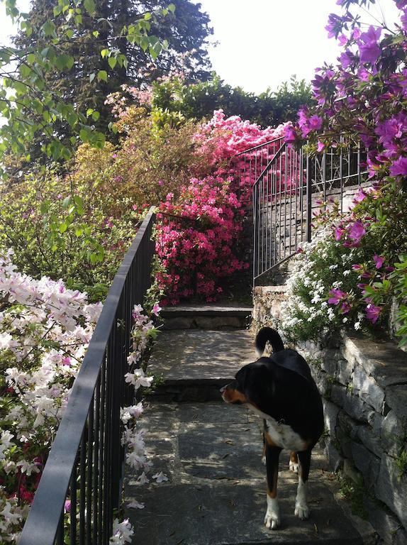 Casa Alice Διαμέρισμα Λοκάρνο Δωμάτιο φωτογραφία